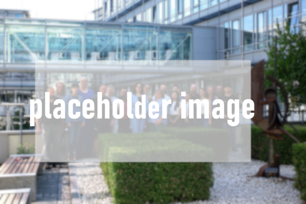 Placeholder Picture for a Group Picture to come