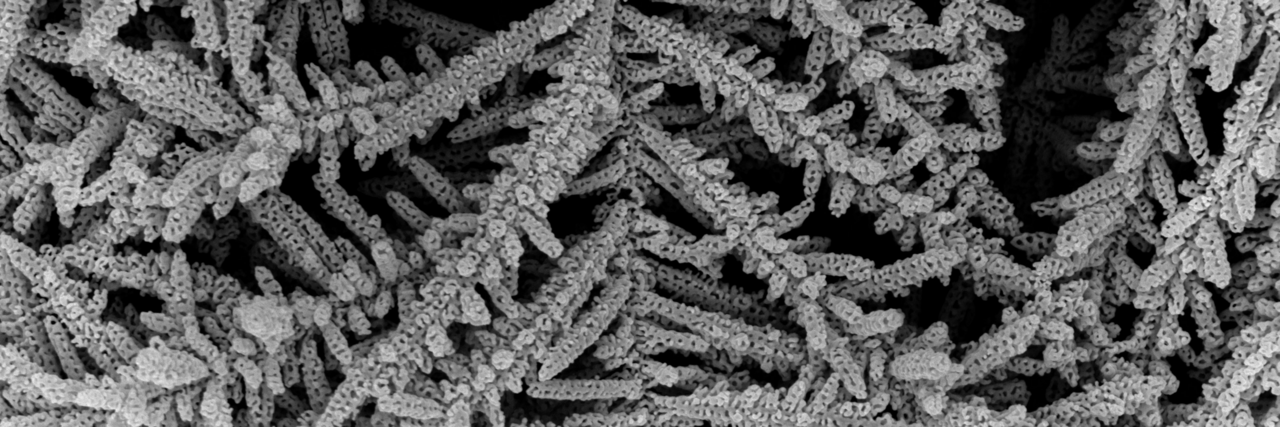 Nanoporous gold dendritic structures with branched tree-like pattern.