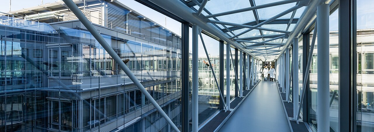Two employees in one of the glass passageways that connect one part of the IFW Dresden building to another.