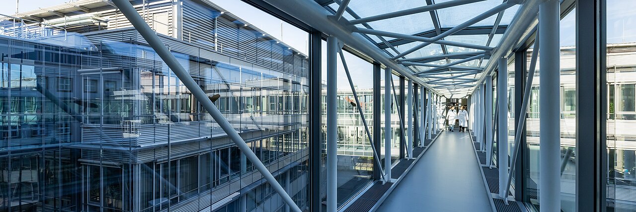 Two employees in one of the glass passageways that connect one part of the IFW Dresden building to another.
