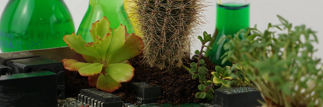 Green plants and a cactus growing on a computer chip in front of glass containers with green and yellow liquid.