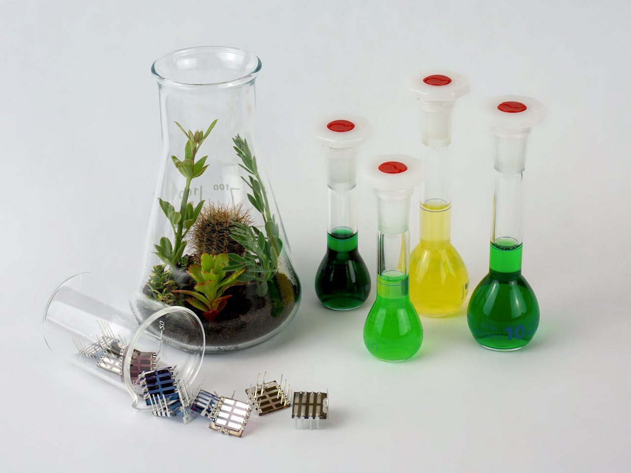 Several laboratory flasks with colored liquids and an Erlenmeyer flask containing plants and soil, next to two tipped test tubes with small metal grids.