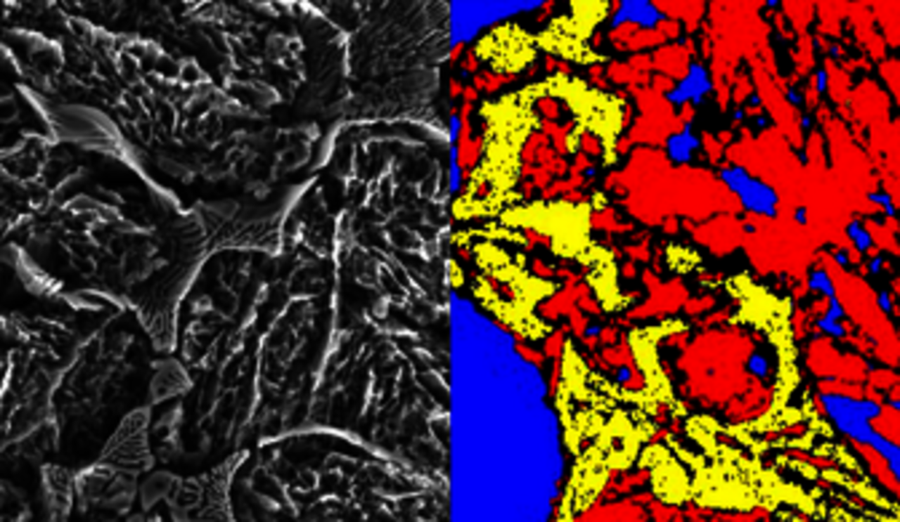 Side-by-side comparison of a grayscale microscopic texture and a color-coded map highlighting distinct regions in red, yellow, and blue