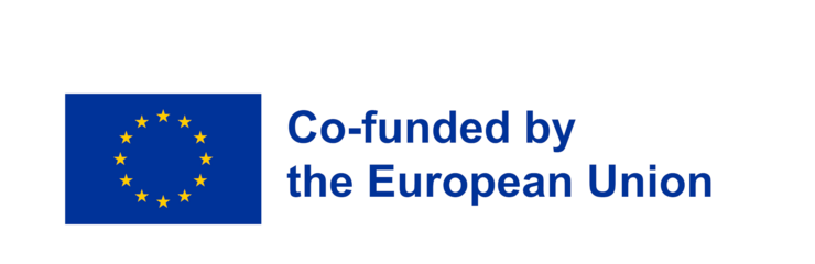 Logo of European union and text indicating it is Co-funded by it.
