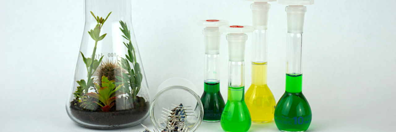 Several glass containers with green and yellow liquids and a glass container with plants and soil on a white background.