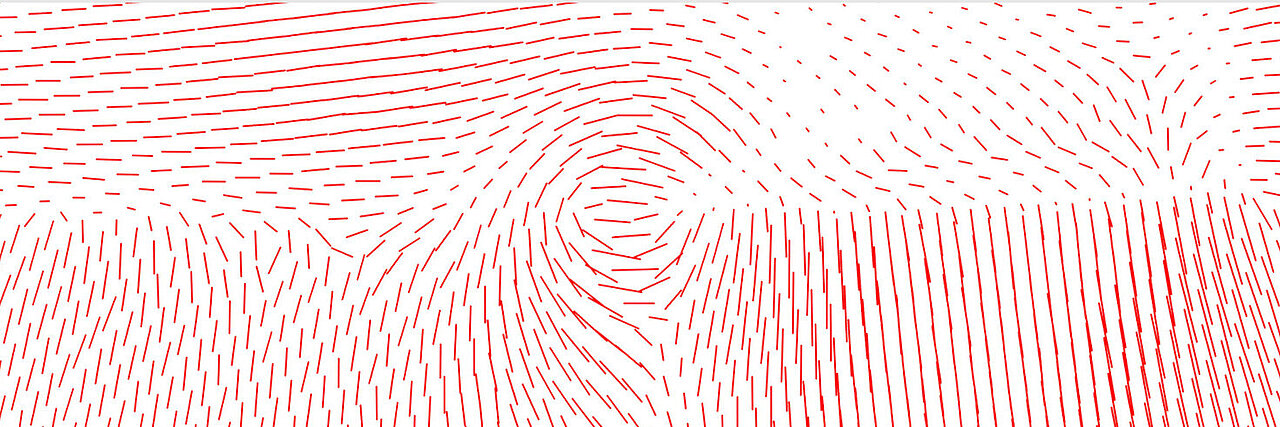Pattern of short red lines forming concentric swirls and flows.
