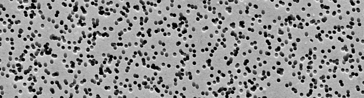 A scanning electron microscopy image of a porous material with uniform cylindrical pores.