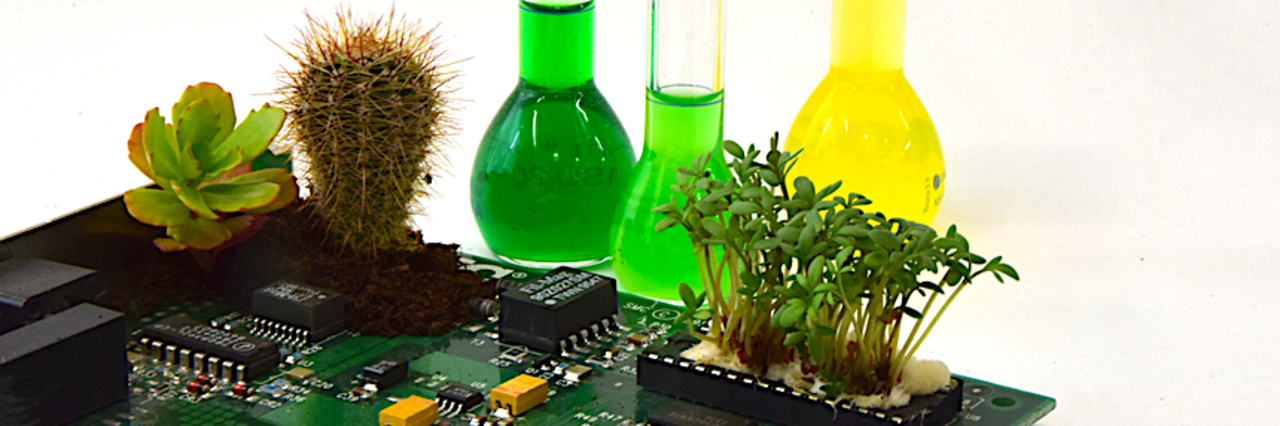 Green circuit board with three test tubes containing colored liquids and small plants including a cactus and succulent.