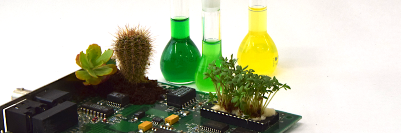 Green circuit board with three test tubes containing colored liquids and small plants including a cactus and succulent.