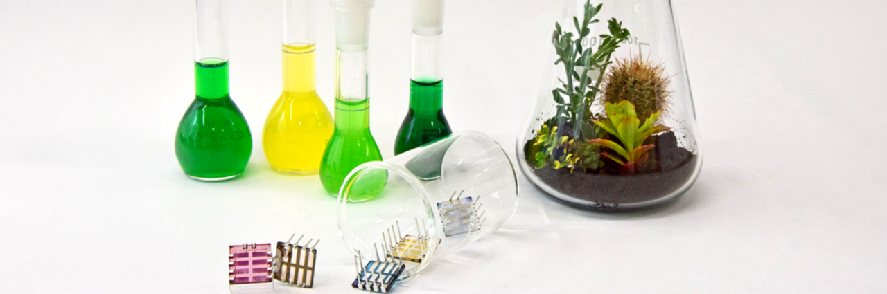 Several glass containers with green and yellow liquids and a glass container with plants and soil on a white background.