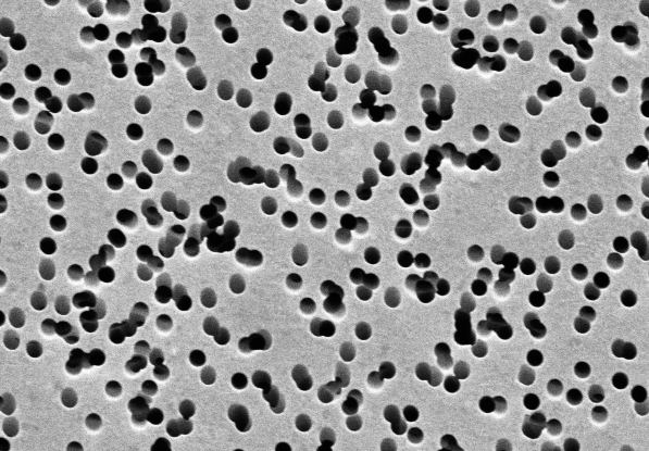 A scanning electron microscopy image of a porous material with uniform cylindrical pores.